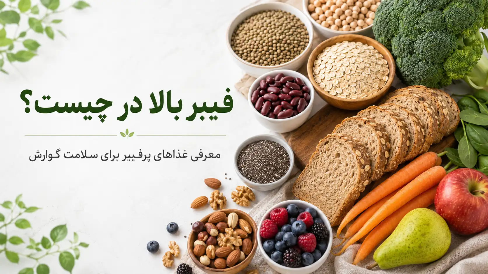 فیبر بالا در چیست؟ معرفی کامل غذاهای پرفیبر برای سلامت گوارش